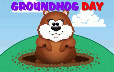 groundhog day gifs|groundhog day funny gif.